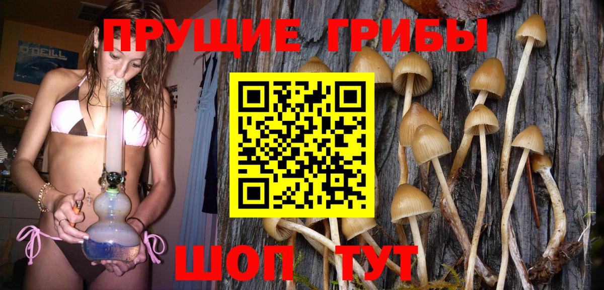Псилоцибиновые грибы MAGIC MUSHROOMS Дубна