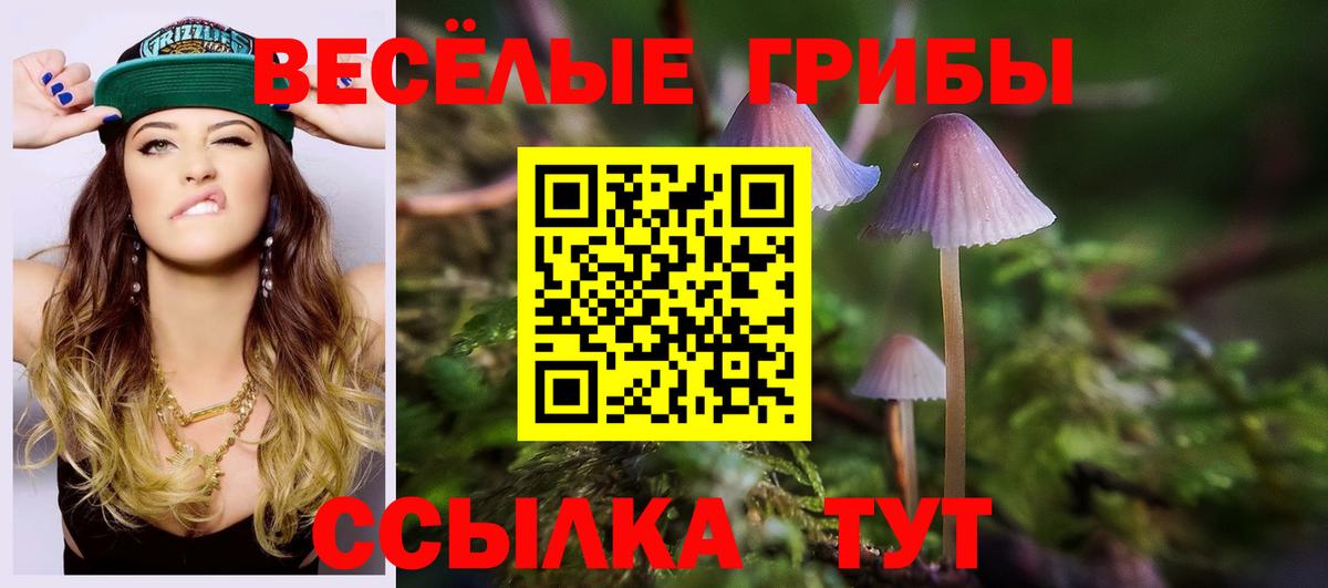 Псилоцибиновые грибы GOLDEN TEACHER  Вход с VPN  Дубна 